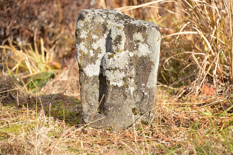 下村（しもむら）防火水槽土手下の水神
