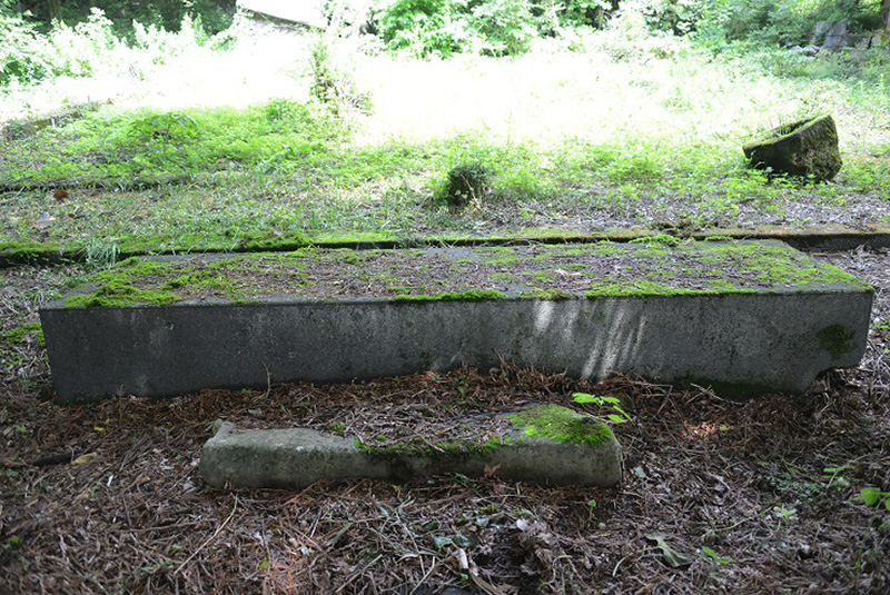 原家屋敷跡　靴脱ぎ石