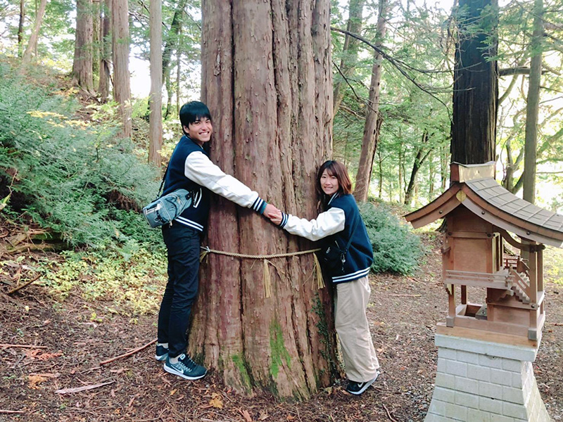 縁結びのご神木