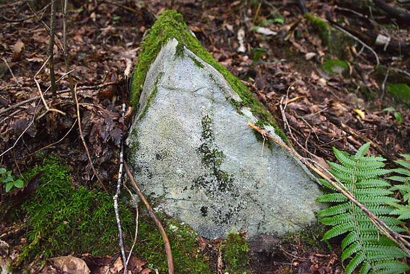 前坂峠道途中脇の石仏